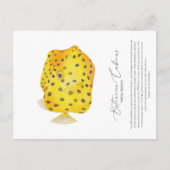 Boxfishポストカード シーズンポストカード (正面)