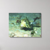 Boxfish - かわいい!サンゴ礁の砂地にて | キャンバスプリント (正面)