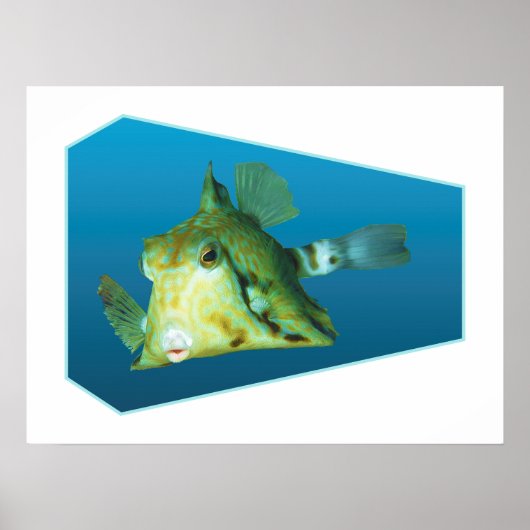 Boxfish -デザイングラデーションの青い背景 | ポスター (正面)