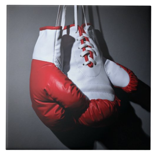 Boxing gloves  タイル (正面)
