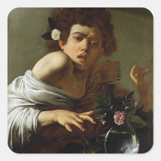 Boy Bitten by a Lizard, c.1595-1600 (キャンバス上の油) スクエアシール (正面)