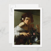 Boy Bitten by a Lizard, c.1595-1600 (キャンバス上の油) ポストカード (正面/裏面)