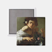 Boy Bitten by a Lizard, c.1595-1600 (キャンバス上の油) マグネット (正面/裏面)