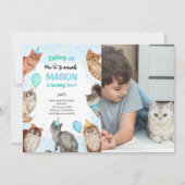 Boy Cat Pawty Animals誕生日写真 招待状 (正面)