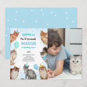 Boy Cat Pawty Animals誕生日写真 招待状 (正面/裏面)