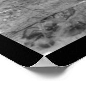 Boy Picking Cotton in Commanche, OK 1916 ポスター (角)