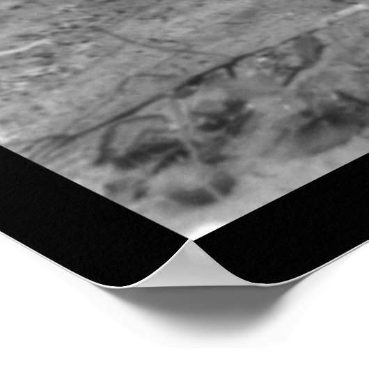 Boy Picking Cotton in Commanche, OK 1916 ポスター (角)