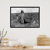 Boy Picking Cotton in Commanche, OK 1916 ポスター (キッチン)