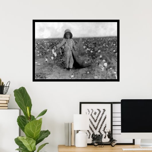 Boy Picking Cotton in Commanche, OK 1916 ポスター (ホームオフィス)
