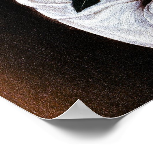 Boy with a Basket of Fruit by Caravaggio ポスター (角)