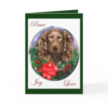 Boykinのスパニエル犬のクリスマスのギフト