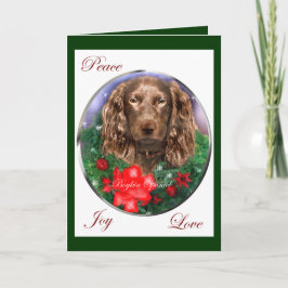 Boykinのスパニエル犬のクリスマスのギフト シーズンカード