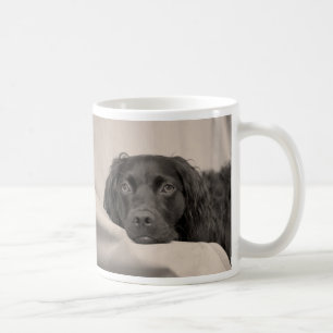 Boykinのスパニエル犬のコーヒー・マグ コーヒーマグカップ