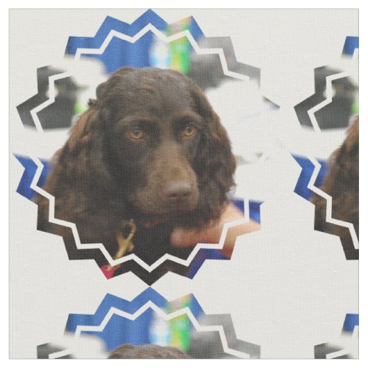 Boykinのスパニエル犬 ファブリック (クローズアップ)