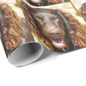 Boykin_spaniel ラッピングペーパー (ロールコーナー)