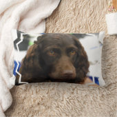 boykin-spaniel-2.jpg ランバークッション (ブランケット)