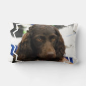 boykin-spaniel-2.jpg ランバークッション (裏面)