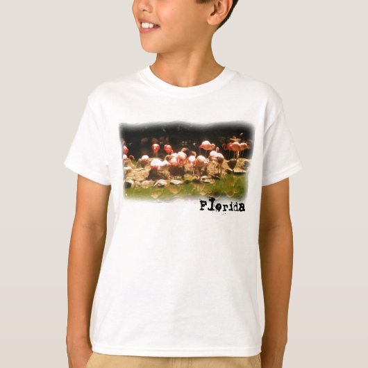 Boys Floridaフラミンゴシャツ Tシャツ (正面)