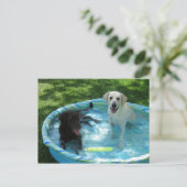 Boys of Summerはがき ポストカード (スタンド正面)