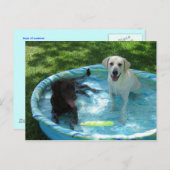 Boys of Summerはがき ポストカード (正面/裏面)