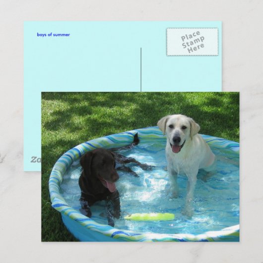 Boys of Summerはがき ポストカード (正面/裏面)