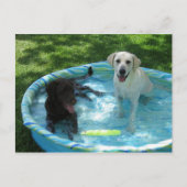 Boys of Summerはがき ポストカード (正面)