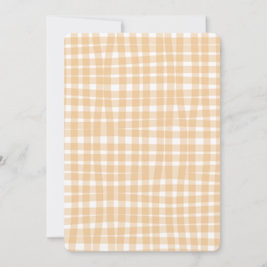 Boys Plaid Gingham Cowboy First Rodeo 1st Birthday 招待状 (裏面)