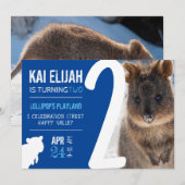 Boys Second Birthday Blue Quokka Australia Photo 招待状 (正面/裏面)