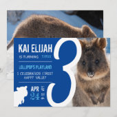Boys Third Birthday Blue Quokka Australia Photo 招待状 (正面/裏面)