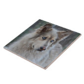 Bozworth Malamutt タイル (側面)