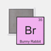 Br - Bunny Rabbit化学素おもしろい子シンボルT マグネット (正面/裏面)