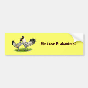 Brabanterのクリーム色の鶏 バンパーステッカー