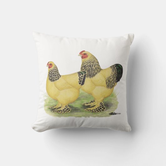 Brahmaの淡黄色の組 クッション (正面)