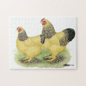 Brahmaの淡黄色の組 ジグソーパズル (横)