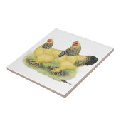 Brahmaの淡黄色の組 タイル (側面)