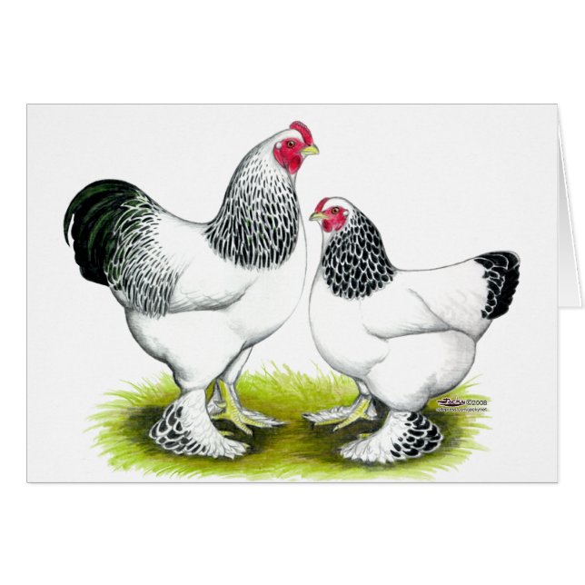 Brahma：ライト (正面横)