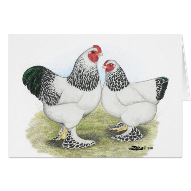 Brahma：ライト2 (正面横)