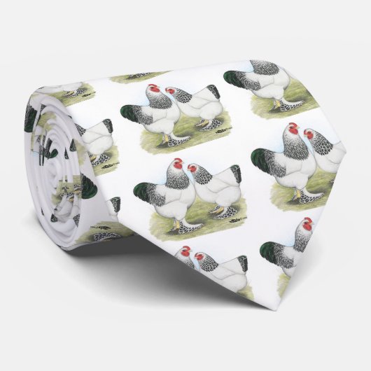 Brahma：ライト2 ネクタイ (ロール)