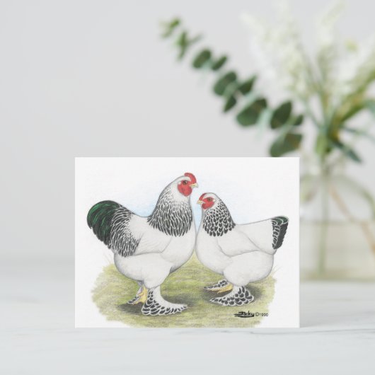 Brahma：ライト2 ポストカード (スタンド正面)