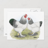 Brahma：ライト2 ポストカード (正面/裏面)