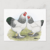 Brahma：ライト2 ポストカード (正面)