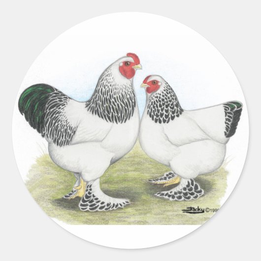 Brahma：ライト2 ラウンドシール (正面)