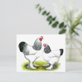 Brahma：ライト ポストカード (スタンド正面)