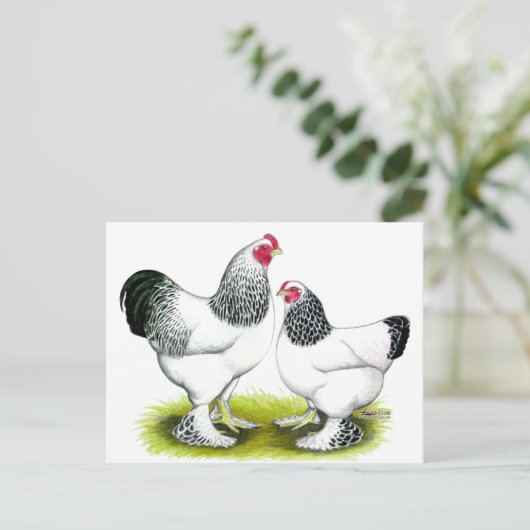 Brahma：ライト ポストカード (スタンド正面)