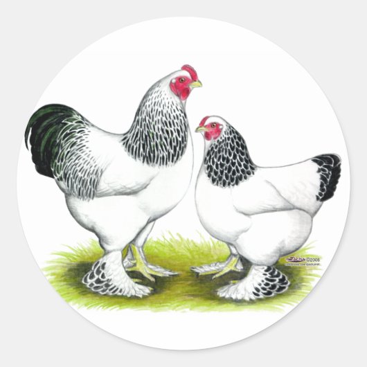 Brahma:ライト ラウンドシール (正面)