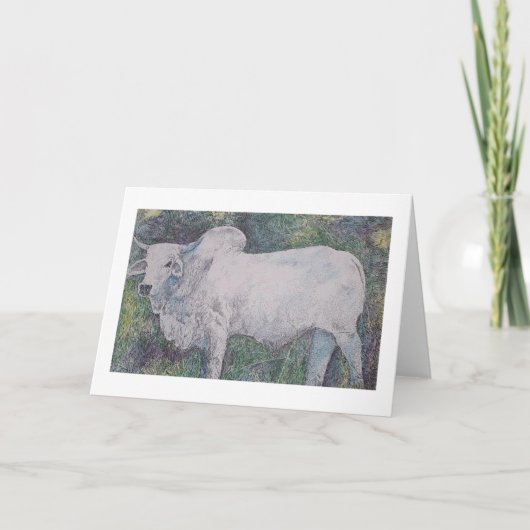 BRAHMA BULL カード (正面)