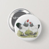 Brahma:  Light2 缶バッジ (正面&裏面)