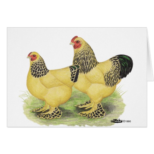 Brahmas:  淡黄色のチャボ (正面横)