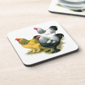 Brahmas 3羽のオンドリ コースター (左側)