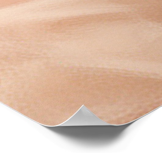 Braided Serenity ポスター (角)